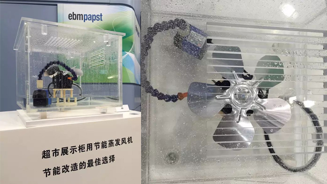 罩极式单相异步电机